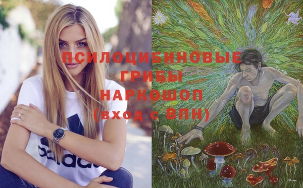 спайс Баксан