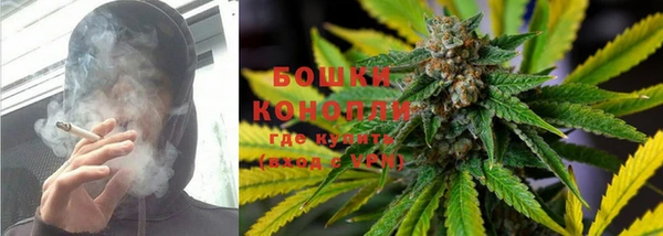 спайс Баксан