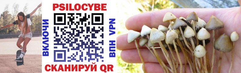 Псилоцибиновые грибы Cubensis  ссылка на мегу зеркало  Свирск 